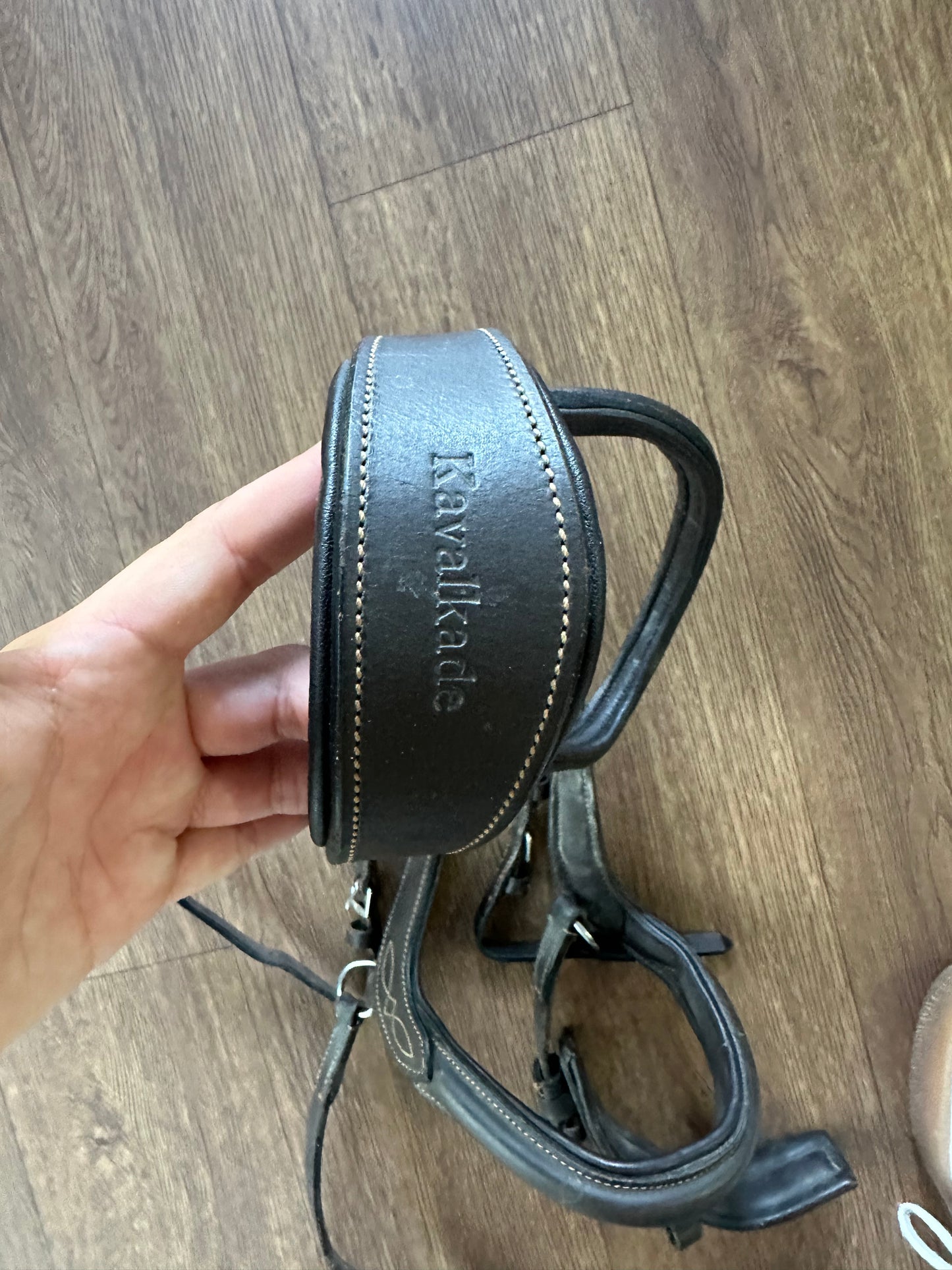 Kalkavade Bridle