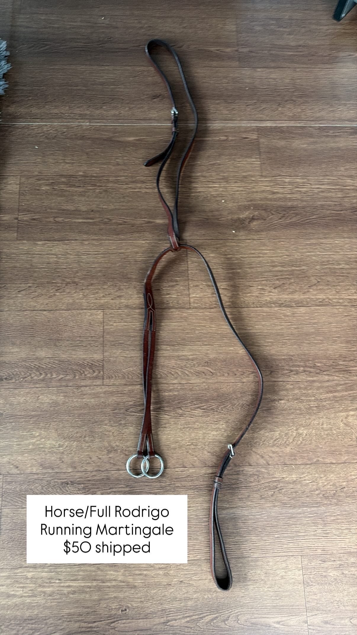 Rodrigo Running Martingale